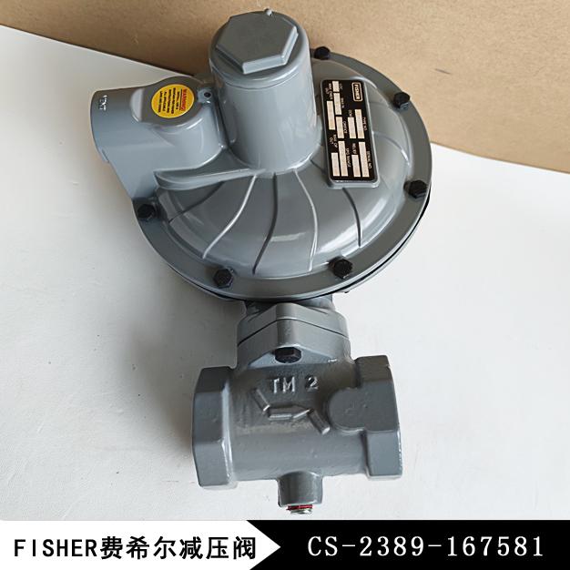 CS-2389-167581費希爾減壓閥CS400IN-8E/C8美國進口品牌